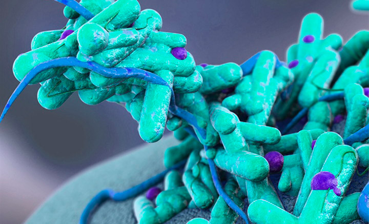 Как победить вирусы и бактерии на вашей мойке?